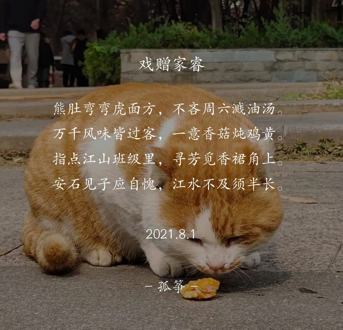 Playful Dedication to Jiarui