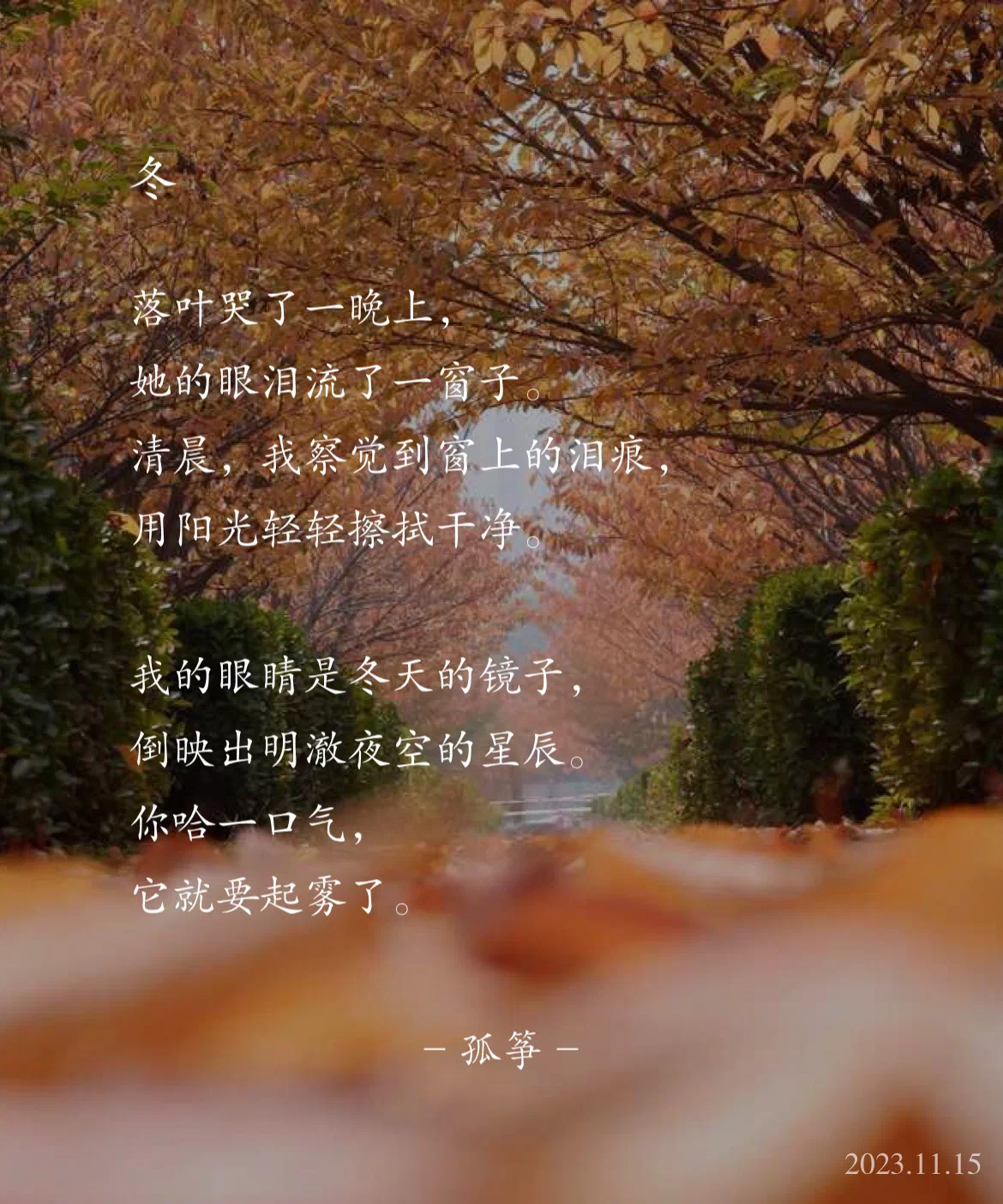 冬